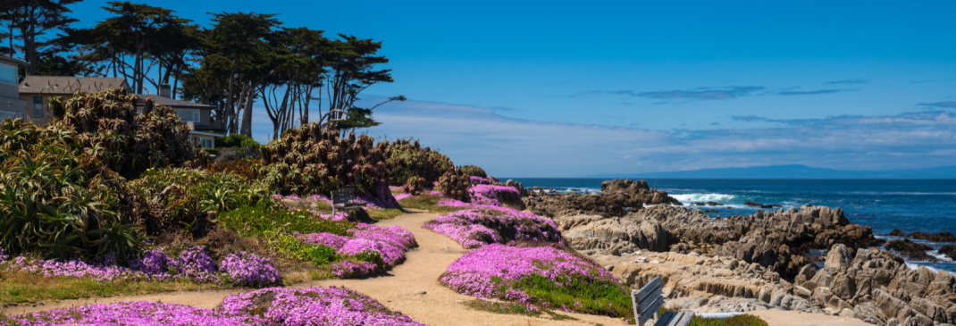 A quick guide to Monterey